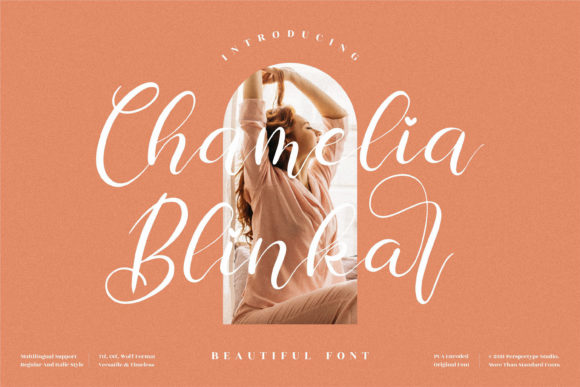 Elevate Your Crafts with the Chamelia Blinkar Typeface
