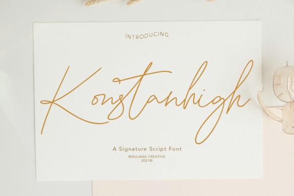 Konstanhigh Review: A Designer's Take on Script Amp's Latest