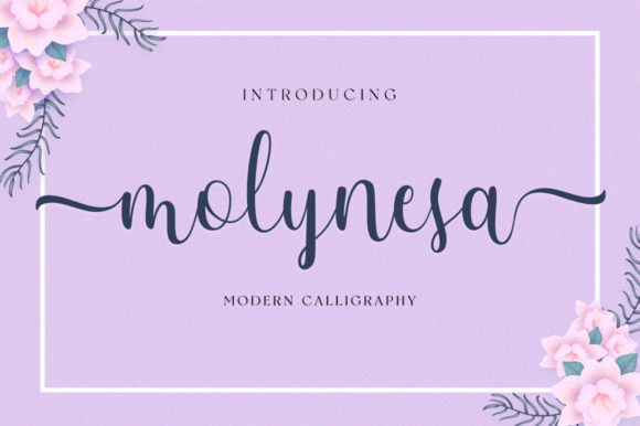 Molynesa: A Designer's Review for Real Branding