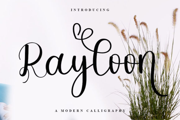 Rayloon Font Review: Elevating Small Business Branding